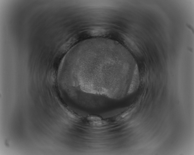 X0000097460277200803071638