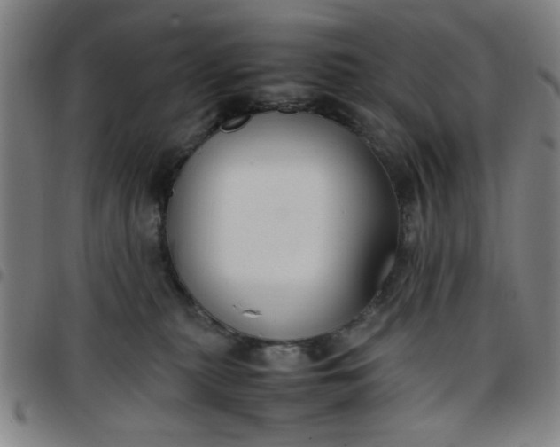 X0000097460279200803071638