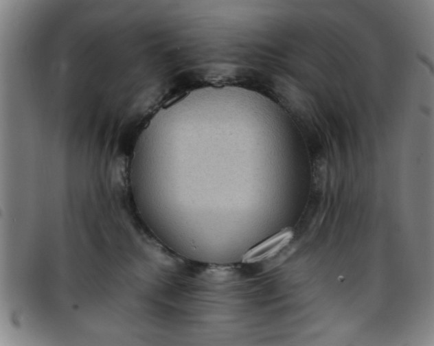 X0000097460280200803071638