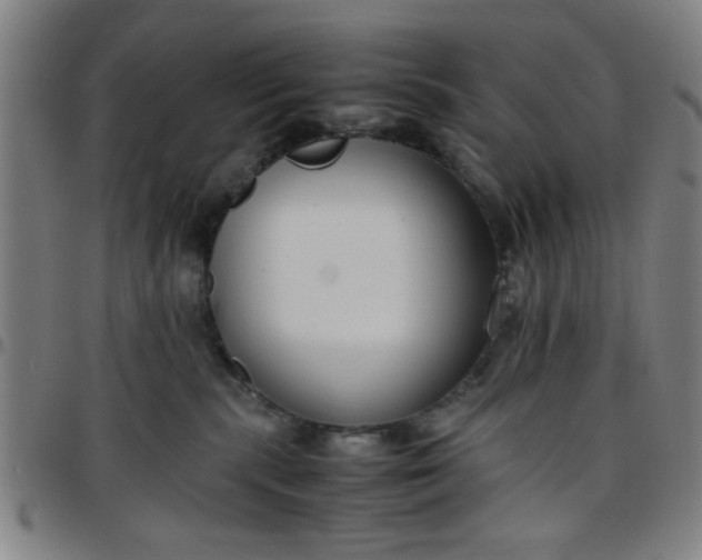 X0000097460283200803071638