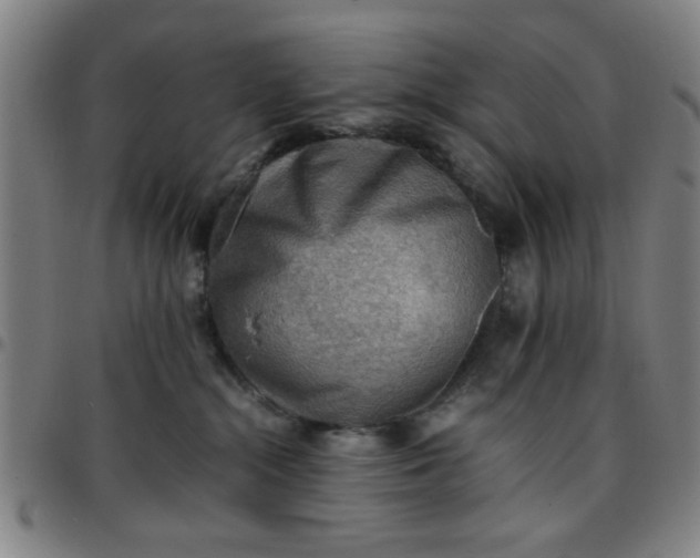 X0000097460284200803071638