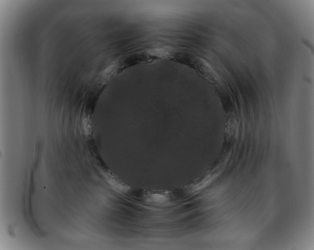 X0000097460285200803071638