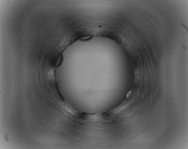 X0000097460286200803071638