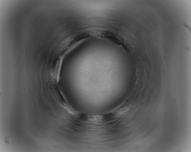 X0000097460288200803071638