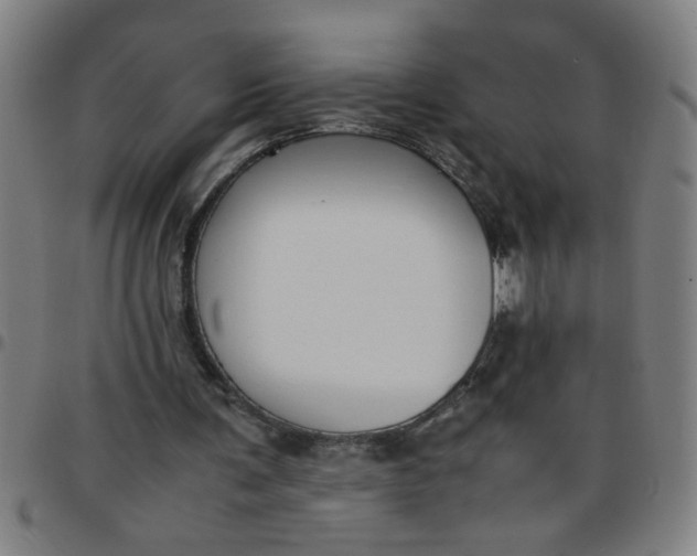 X0000097460291200803071637