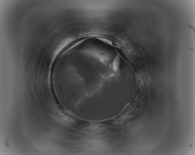 X0000097460292200803071637