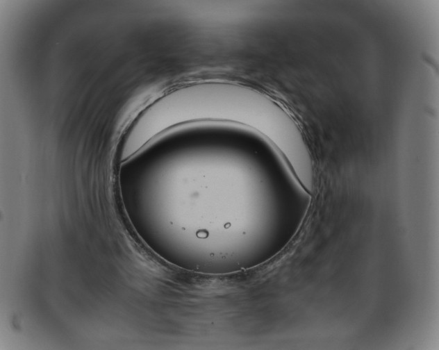 X0000097460293200803071637