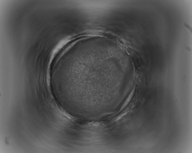 X0000097460294200803071637