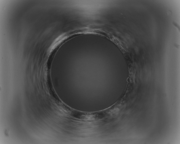 X0000097460295200803071637