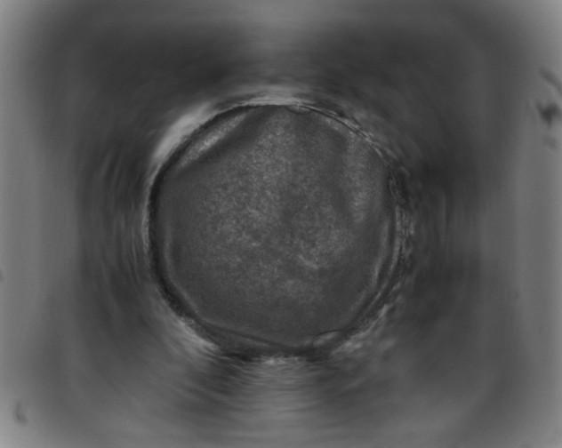 X0000097460296200803071637