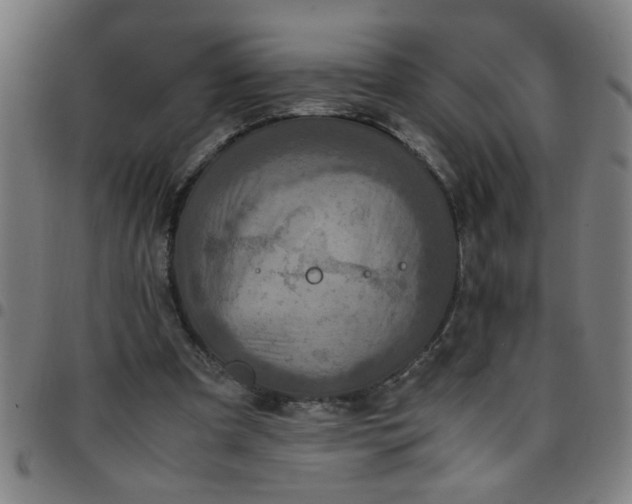 X0000097460297200803071637