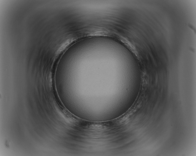 X0000097460298200803071637