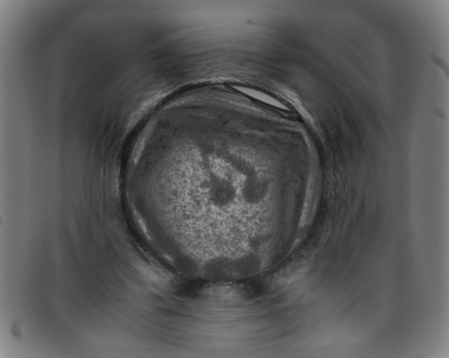 X0000097460299200803071637