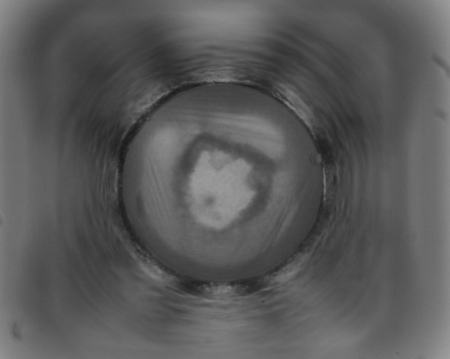 X0000097460301200803071637