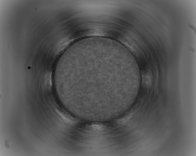 X0000097460302200803071637