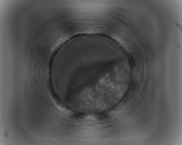 X0000097460303200803071637