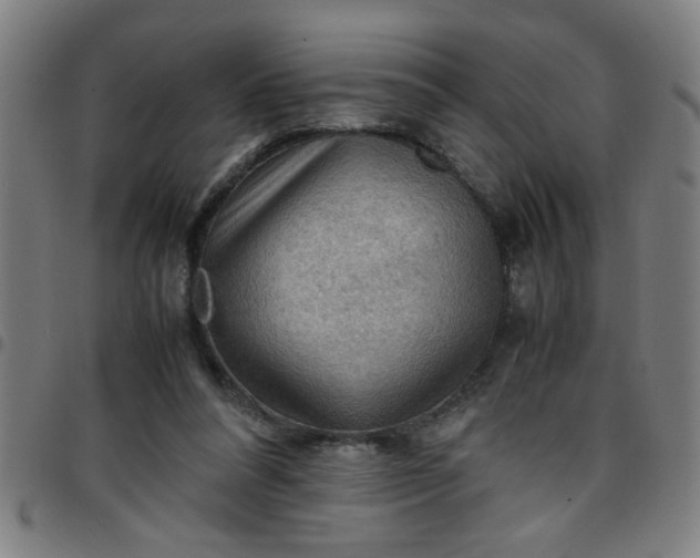 X0000097460304200803071637