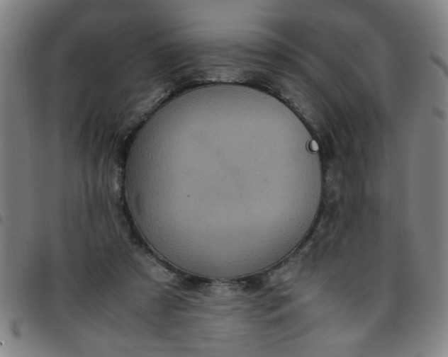 X0000097460305200803071637