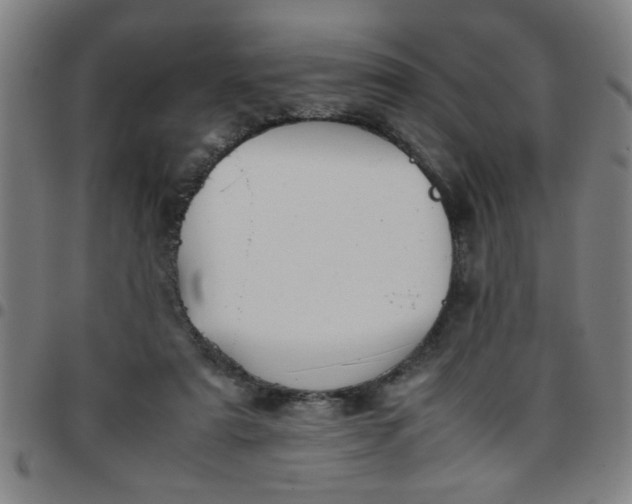 X0000097460307200803071637