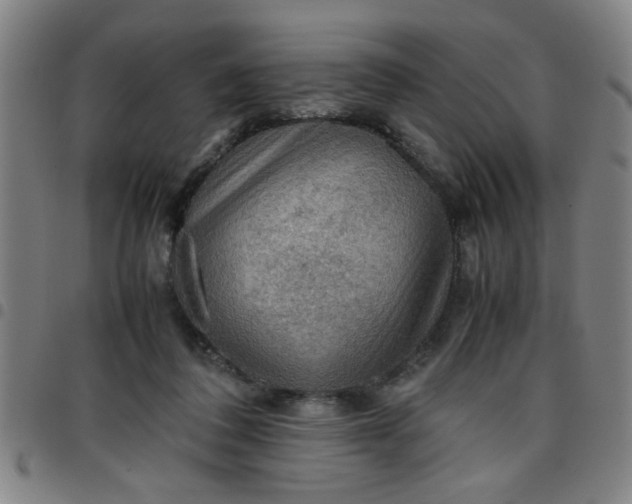 X0000097460308200803071637