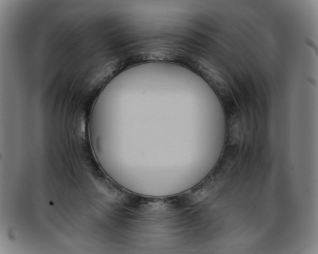 X0000097460310200803071637