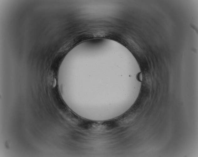 X0000097460311200803071637