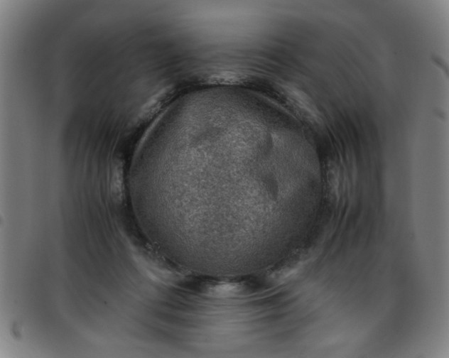 X0000097460312200803071637