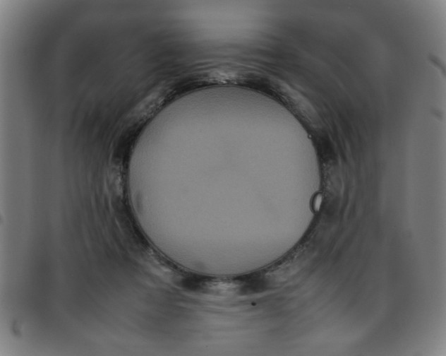 X0000097460313200803071637