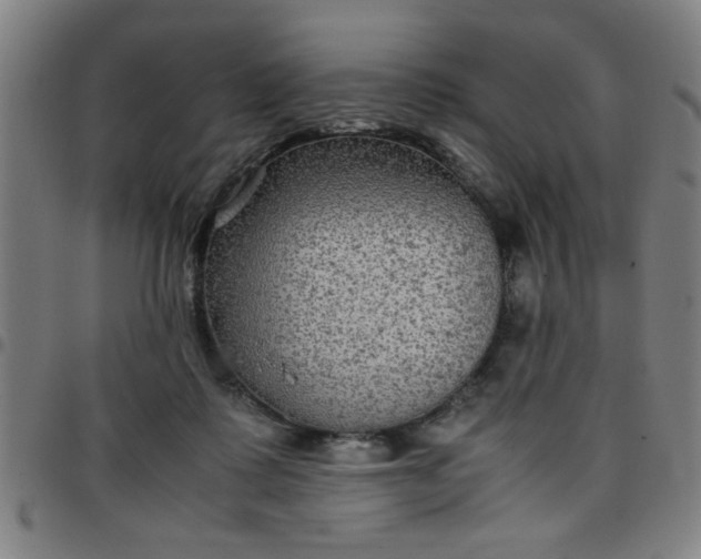 X0000097460315200803071637