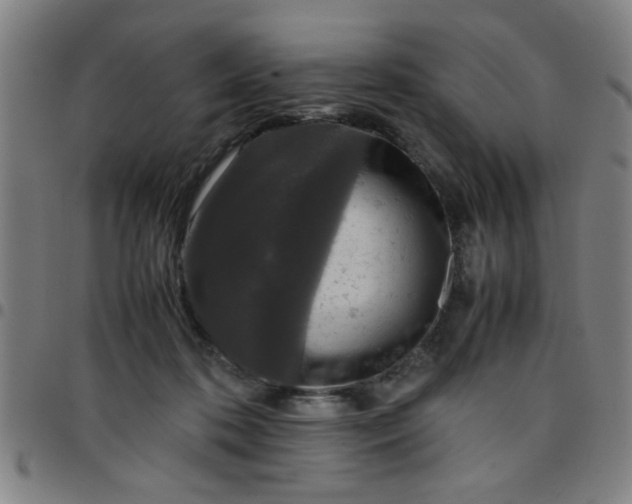 X0000097460316200803071637