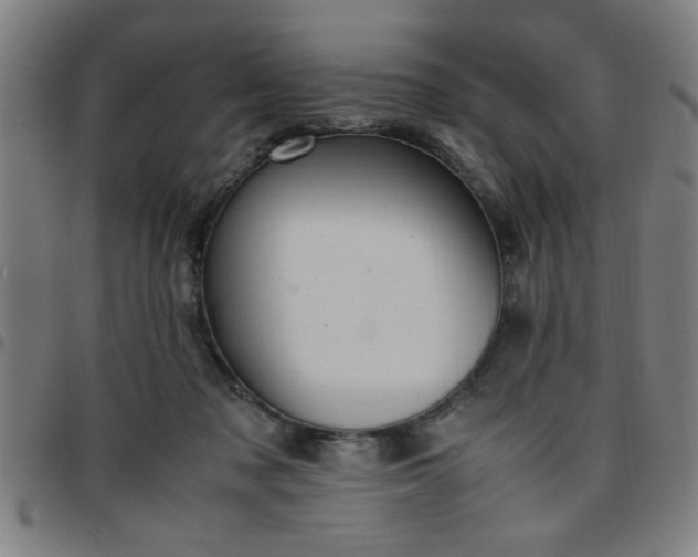 X0000097460317200803071637