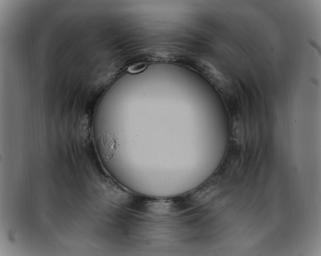 X0000097460318200803071637