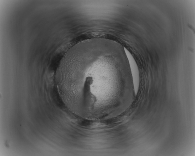 X0000097460319200803071637