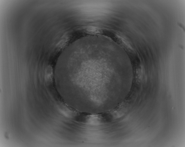 X0000097460320200803071637