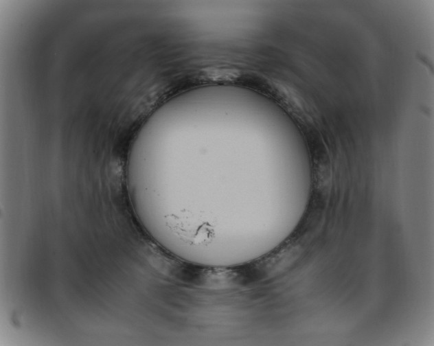 X0000097460321200803071637