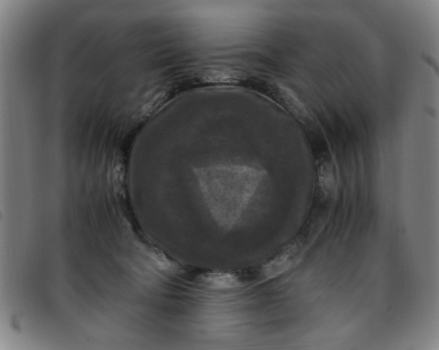 X0000097460322200803071637