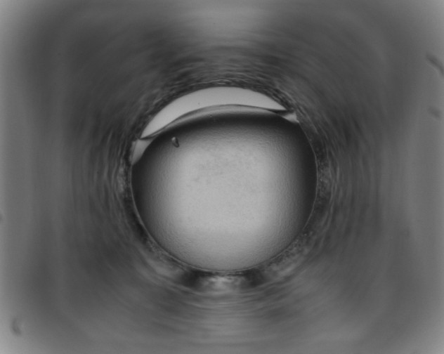 X0000097460323200803071637