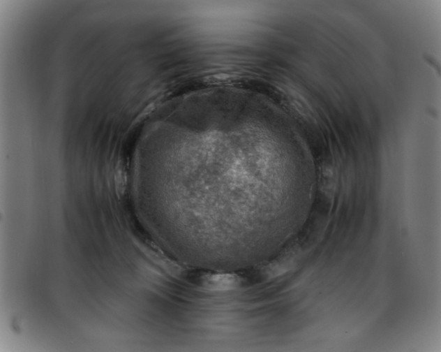 X0000097460324200803071637