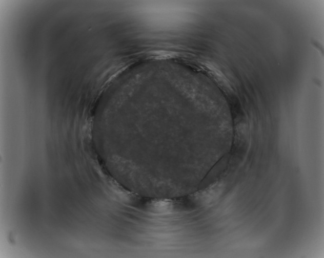 X0000097460325200803071637