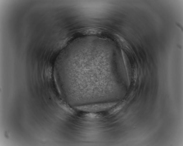 X0000097460326200803071637