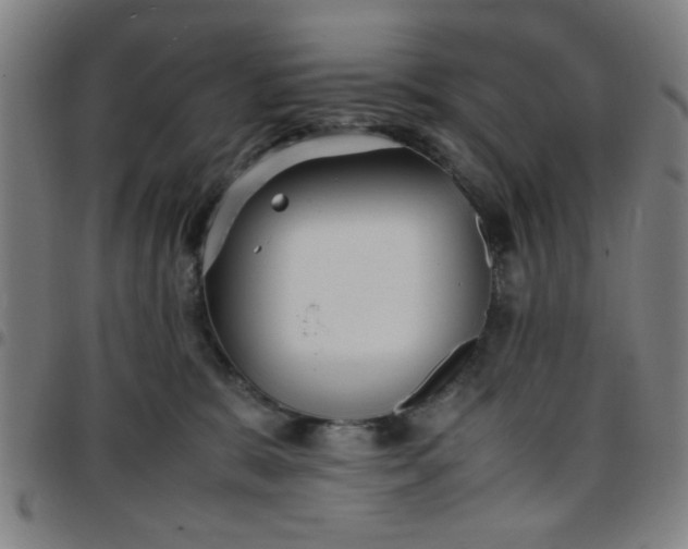 X0000097460327200803071637