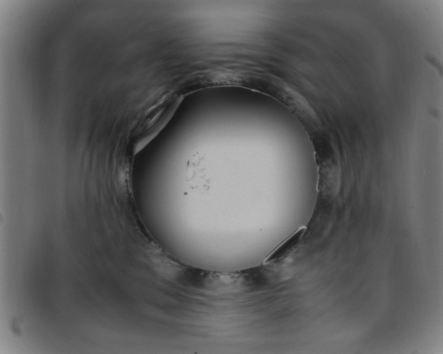 X0000097460329200803071637