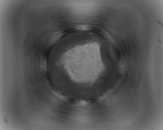 X0000097460330200803071637