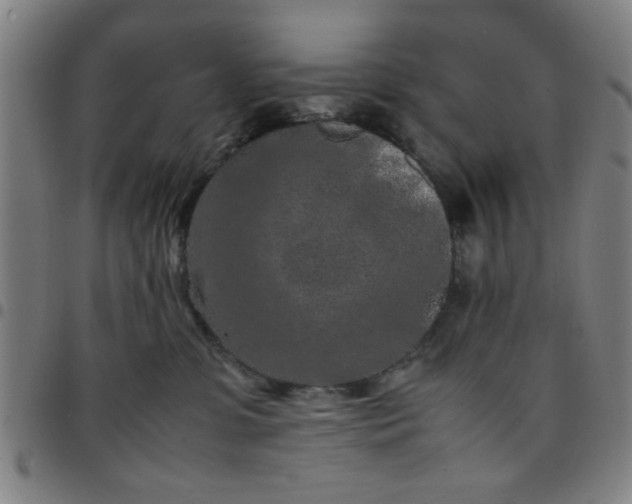 X0000097460331200803071637