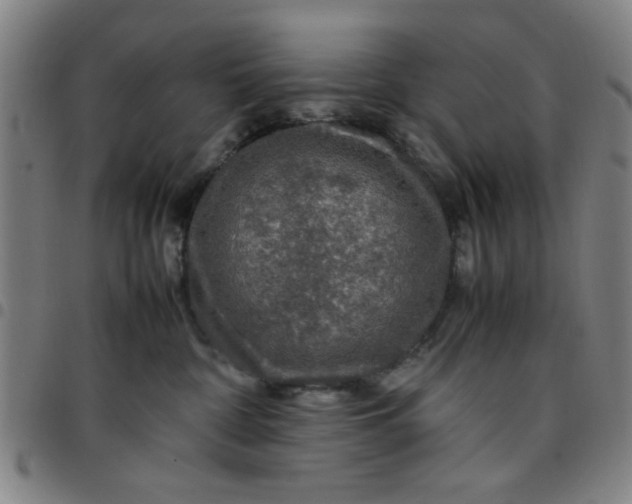 X0000097460332200803071637