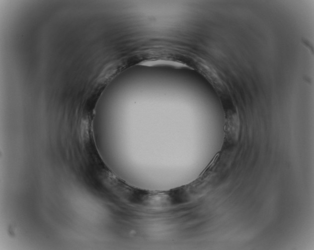 X0000097460333200803071637