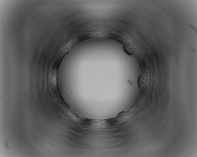 X0000097460334200803071636