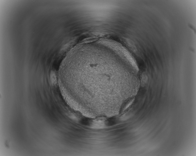 X0000097460335200803071636