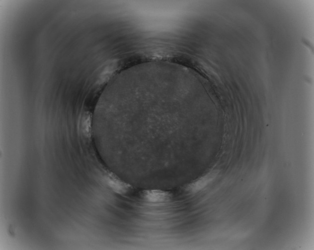 X0000097460336200803071636