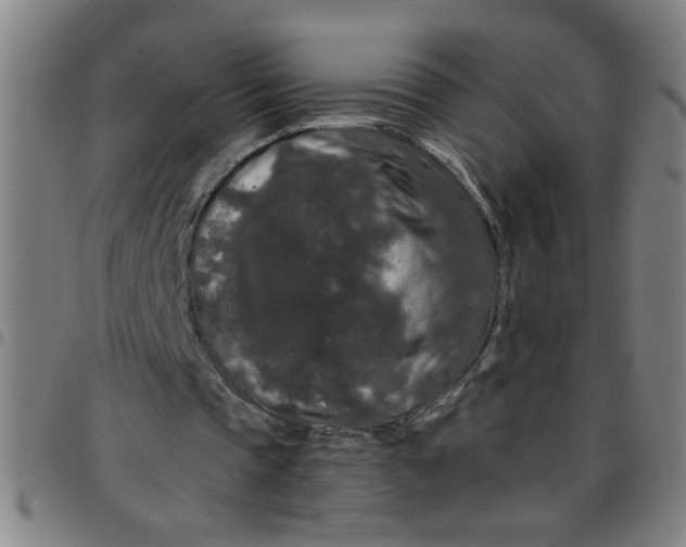 X0000097460337200803071636